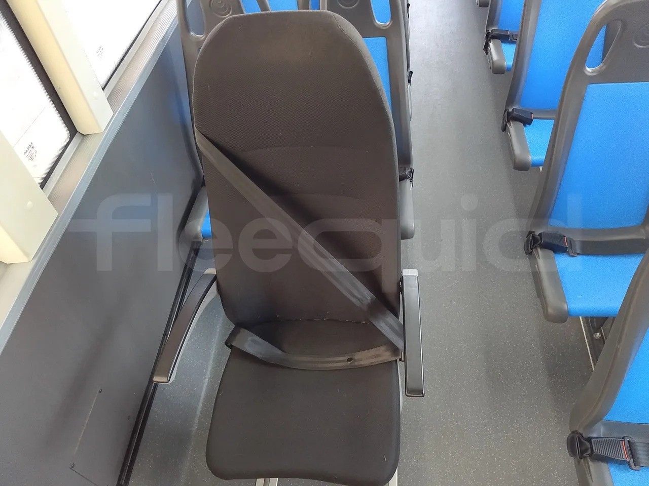 School bus Iveco Indcar: picture 16