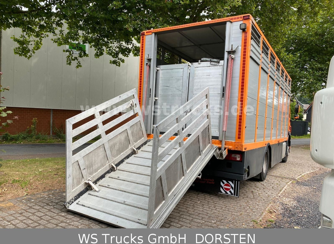 Horse truck DAF CF 400 Menke Einstock: picture 8