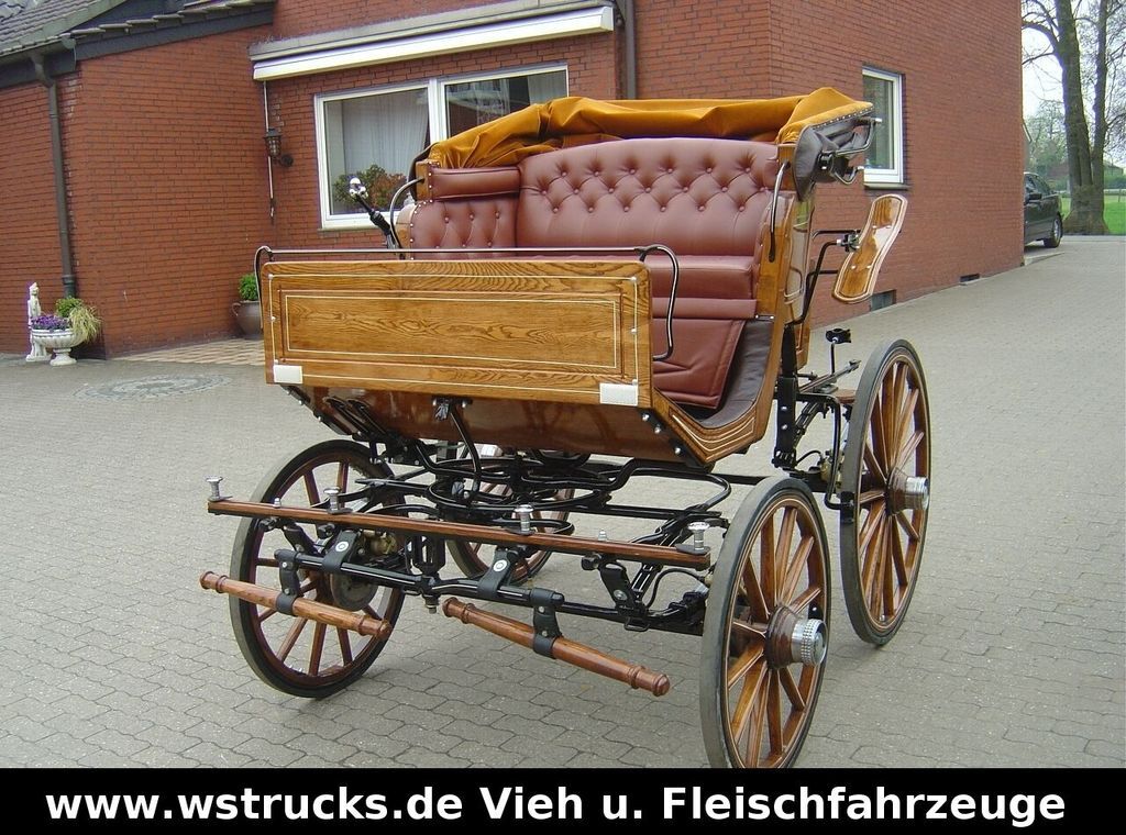Livestock trailer Exclusiver Doktorwagen Inzahlungn. v. Pferden: picture 6