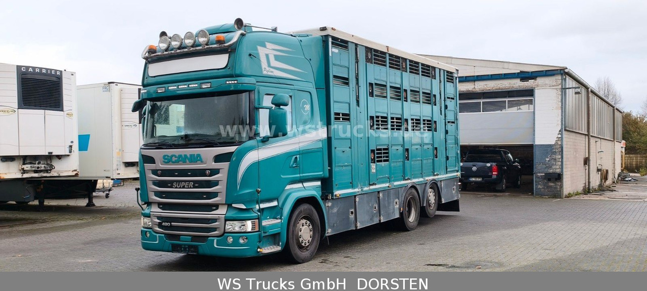 Scania R 490 Topline Menke 4 Stock Hubdach | Retader - Horse truck: picture 1 Scania R 490 Topline Menke 4 Stock Hubdach | Retader - Horse truck: picture 1