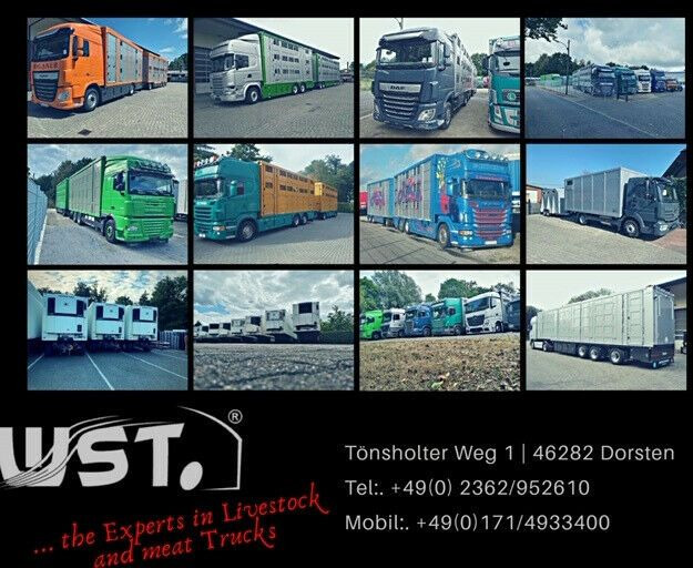 Refrigerator semi-trailer Schmitz Cargobull SKO 24 Kühlauflieger | Rohrbahn Vector 1850Mt: picture 22