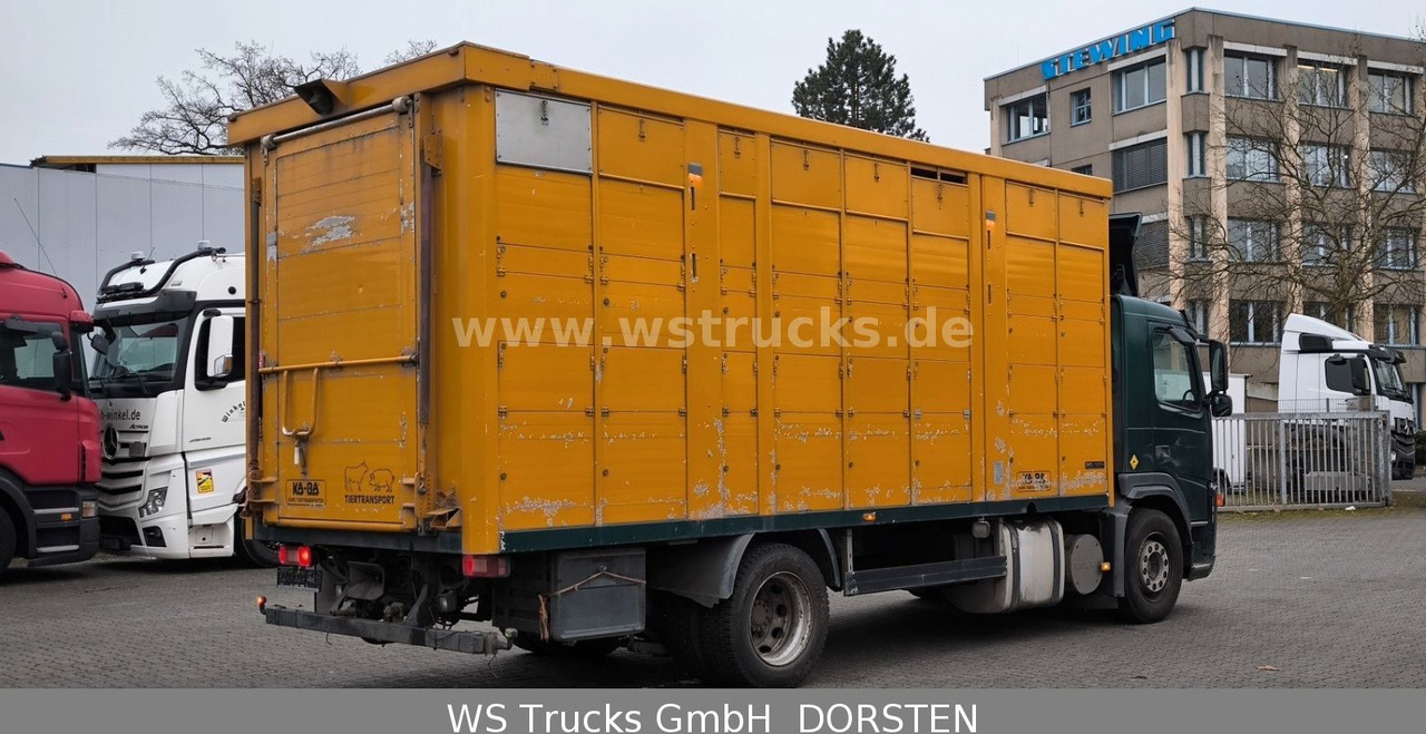 Volvo FM 260 mit KABA 2 Stock Vollalu - Horse truck: picture 4 Volvo FM 260 mit KABA 2 Stock Vollalu - Horse truck: picture 4