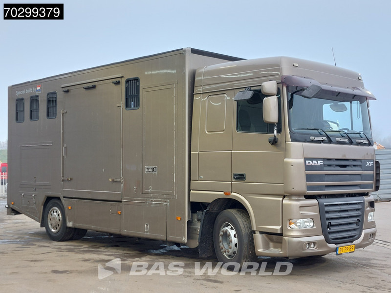 DAF XF105.410 XF 4X2 NL-Truck JK Horsetruck 6 Horses Pferdentransport Manual Euro 5 - Horse truck: picture 3 DAF XF105.410 XF 4X2 NL-Truck JK Horsetruck 6 Horses Pferdentransport Manual Euro 5 - Horse truck: picture 3
