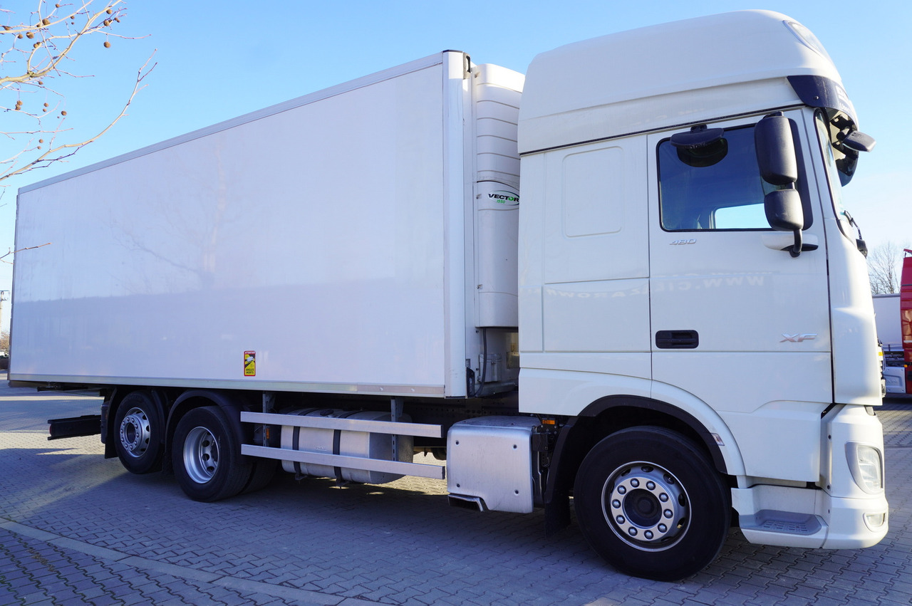 DAF XF 480 EURO 6/ 2021 / Lamberet Refrigerator / Carrier Vector 1550 - Refrigerator truck: picture 4 DAF XF 480 EURO 6/ 2021 / Lamberet Refrigerator / Carrier Vector 1550 - Refrigerator truck: picture 4