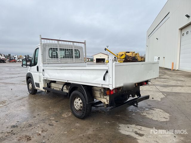 2015 Fiat Ducato Maxi 130 Multijet 4x2 Camion Benne Dump Truck: Light Duty - Tipper: picture 3 2015 Fiat Ducato Maxi 130 Multijet 4x2 Camion Benne Dump Truck: Light Duty - Tipper: picture 3