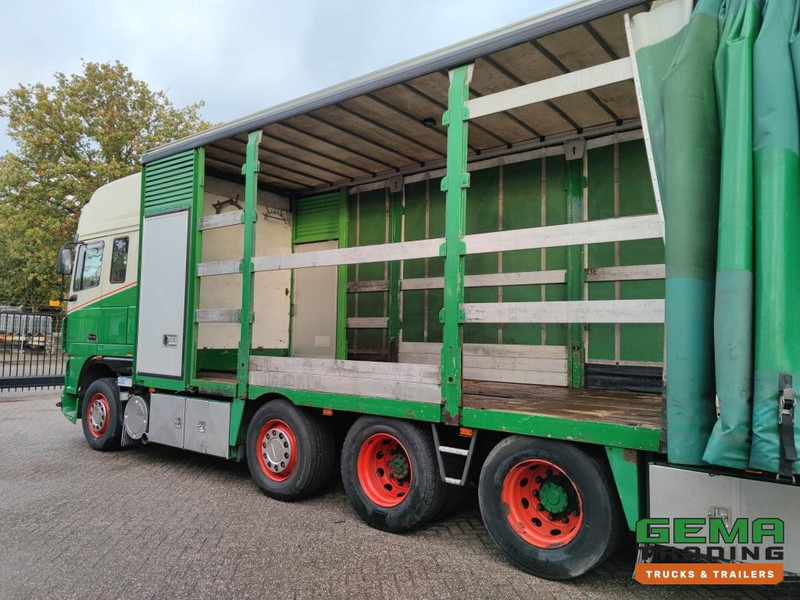 Autotransporter truck DAF FAK XF95.430 8x2 SuperSpaceCab Euro3 - CurtainSider 7.31m + Ramp 16T - MachineTransporter - 6 Persons  (V558): picture 20 Autotransporter truck DAF FAK XF95.430 8x2 SuperSpaceCab Euro3 - CurtainSider 7.31m + Ramp 16T - MachineTransporter - 6 Persons  (V558): picture 20