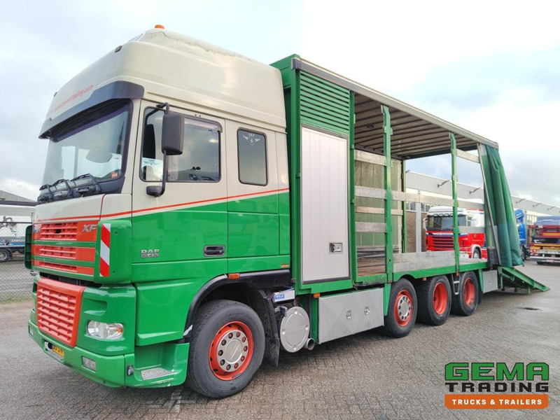 DAF FAK XF95.430 8x2 SuperSpaceCab Euro3 - CurtainSider 7.31m + Ramp 16T - MachineTransporter - 6 Persons (V558) - Autotransporter truck: picture 1 DAF FAK XF95.430 8x2 SuperSpaceCab Euro3 - CurtainSider 7.31m + Ramp 16T - MachineTransporter - 6 Persons (V558) - Autotransporter truck: picture 1
