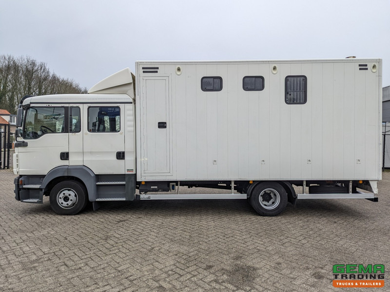 Horse truck MAN TGL 12.180 4x2 DoKa 7 pers. Euro5 EEV - Paardenwagen 2-Paards - 147.000km! - MARGE: picture 10