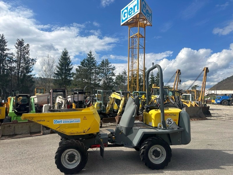 Neuson 3001 (3861) - Mini dumper: picture 1 Neuson 3001 (3861) - Mini dumper: picture 1