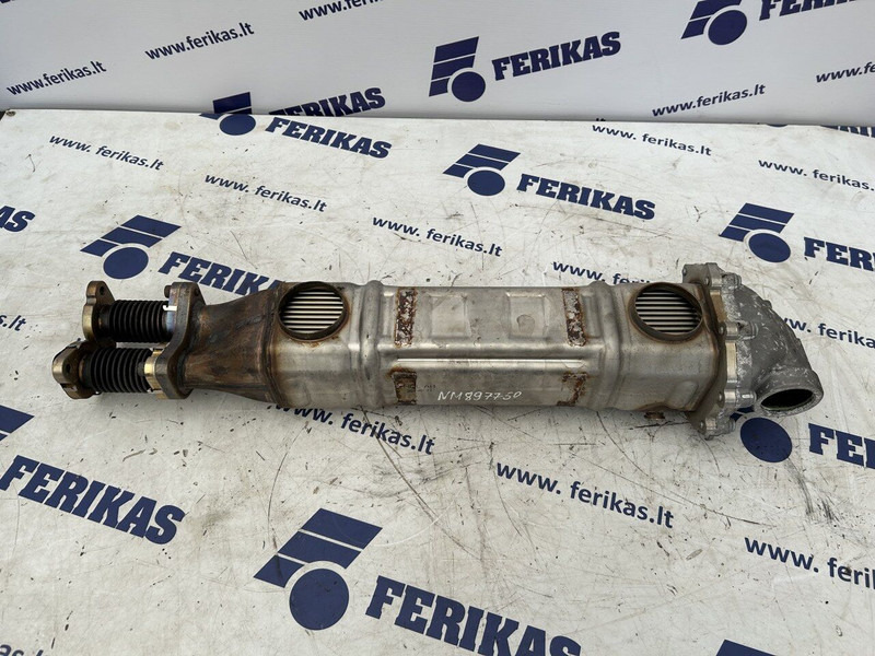 MAN TGX - Muffler/ Exhaust system for Truck: picture 1 MAN TGX - Muffler/ Exhaust system for Truck: picture 1