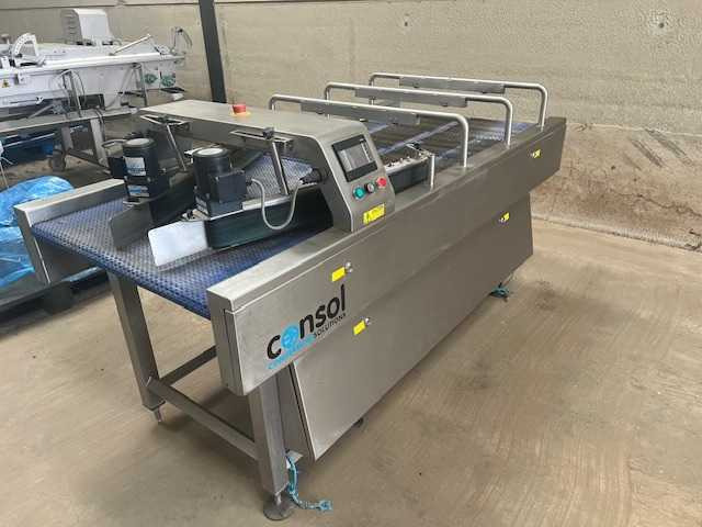 Consol - Belt conveyor: picture 2 Consol - Belt conveyor: picture 2
