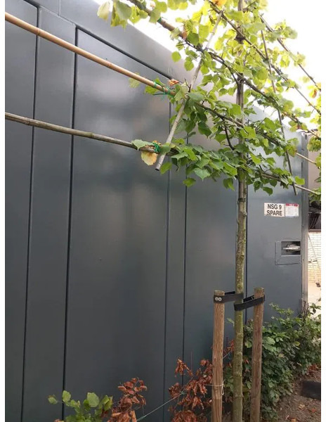 Generator set Cummins KTA 50-G2 Leroy Somer 1400 kVA generatorset in Silent container: picture 10