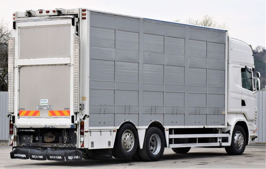 Scania R 500 TIERTRANSPORTWAGEN 7,10m / 4STOCK Scania R 500 TIERTRANSPORTWAGEN 7,10m / 4STOCK - Livestock truck: picture 5 Scania R 500 TIERTRANSPORTWAGEN 7,10m / 4STOCK Scania R 500 TIERTRANSPORTWAGEN 7,10m / 4STOCK - Livestock truck: picture 5