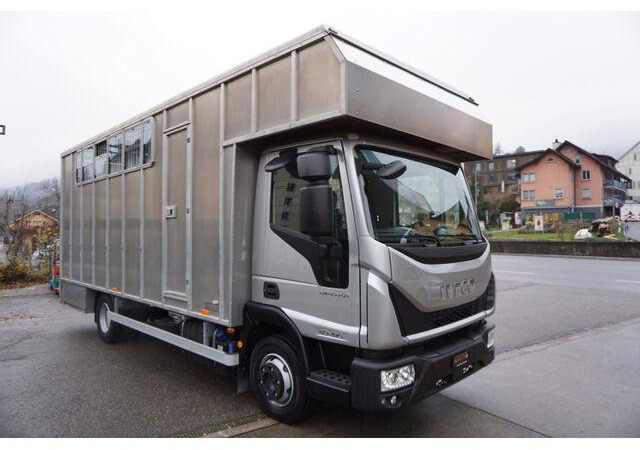 Iveco EUROCARGO 80-190 Lószállító - Livestock truck: picture 3 Iveco EUROCARGO 80-190 Lószállító - Livestock truck: picture 3