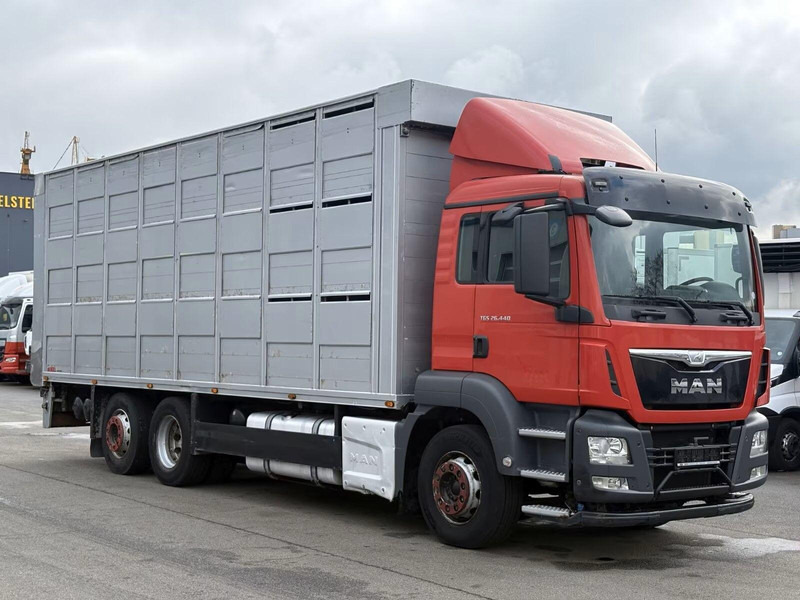 MAN TGS 26.440 - Animal transporter - Livestock truck: picture 2 MAN TGS 26.440 - Animal transporter - Livestock truck: picture 2
