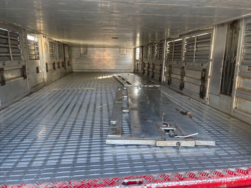 Livestock truck MAN TGX 26.400 6x2-2 LL 3 Stück Finkl Hubdach: picture 11 Livestock truck MAN TGX 26.400 6x2-2 LL 3 Stück Finkl Hubdach: picture 11