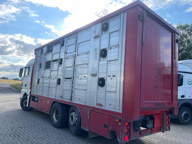 Livestock truck MAN TGX 26.400 6x2-2 LL 3 Stück Finkl Hubdach: picture 6 Livestock truck MAN TGX 26.400 6x2-2 LL 3 Stück Finkl Hubdach: picture 6