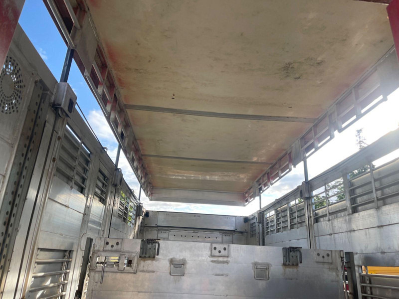 Livestock truck MAN TGX 26.400 6x2-2 LL 3 Stück Finkl Hubdach: picture 14 Livestock truck MAN TGX 26.400 6x2-2 LL 3 Stück Finkl Hubdach: picture 14