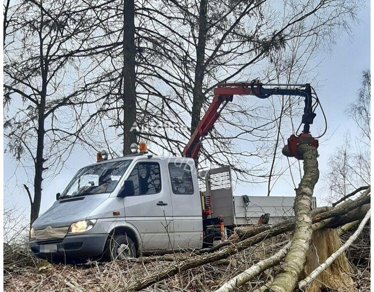 Mercedes-Benz 413 - Doka tipper+crane with gripper - Tipper, Crane truck: picture 3 Mercedes-Benz 413 - Doka tipper+crane with gripper - Tipper, Crane truck: picture 3