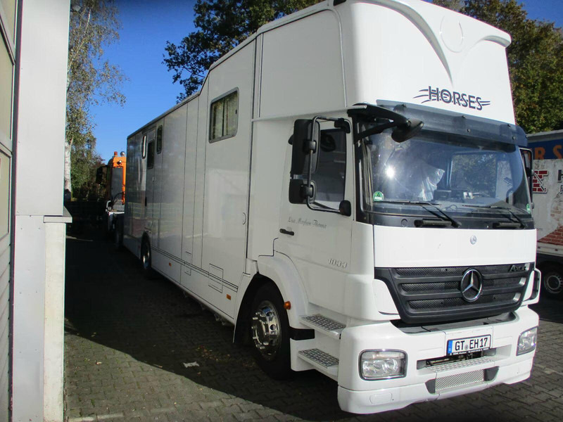 Mercedes-Benz Axor 1833 - Horse transporter - Horse truck: picture 2 Mercedes-Benz Axor 1833 - Horse transporter - Horse truck: picture 2