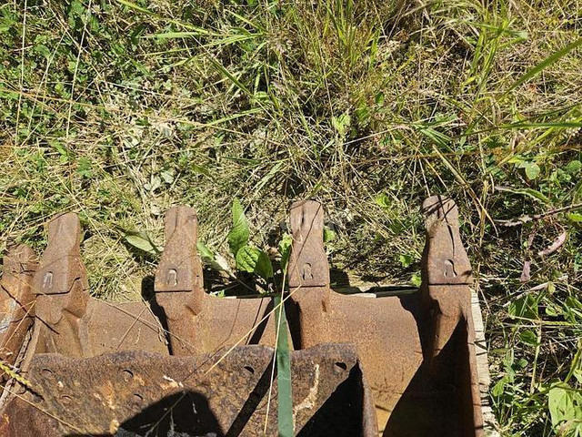 ARDEN QA11 - Bucket: picture 3 ARDEN QA11 - Bucket: picture 3