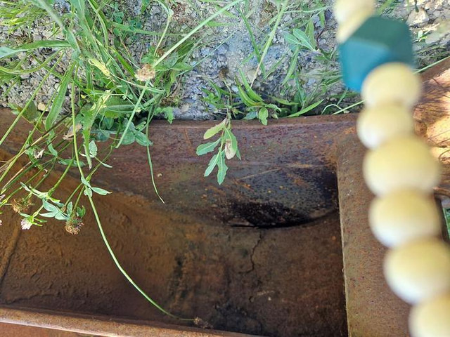 GEITH GEITH - Bucket: picture 2 GEITH GEITH - Bucket: picture 2