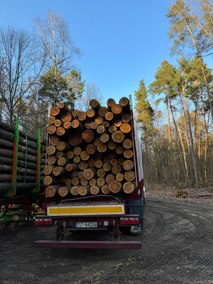 ZASŁAW D651A - Timber semi-trailer: picture 3 ZASŁAW D651A - Timber semi-trailer: picture 3