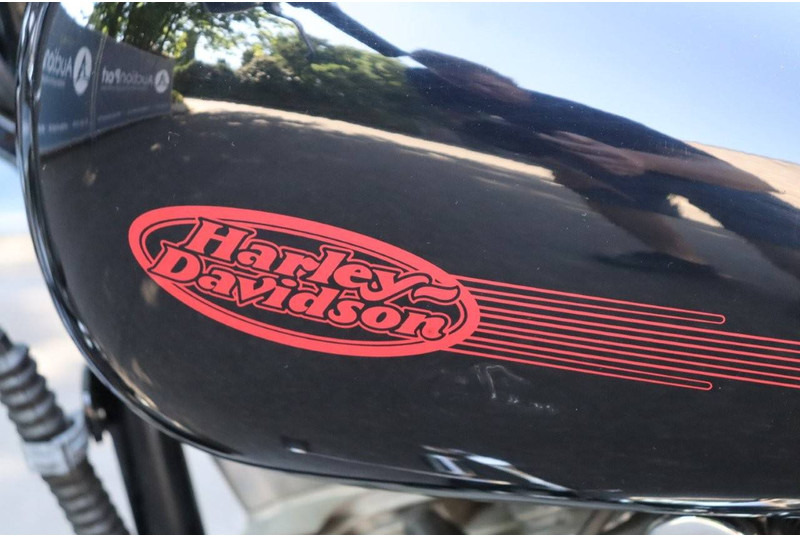 Motorcycle Harley-Davidson Softail Custom: picture 19