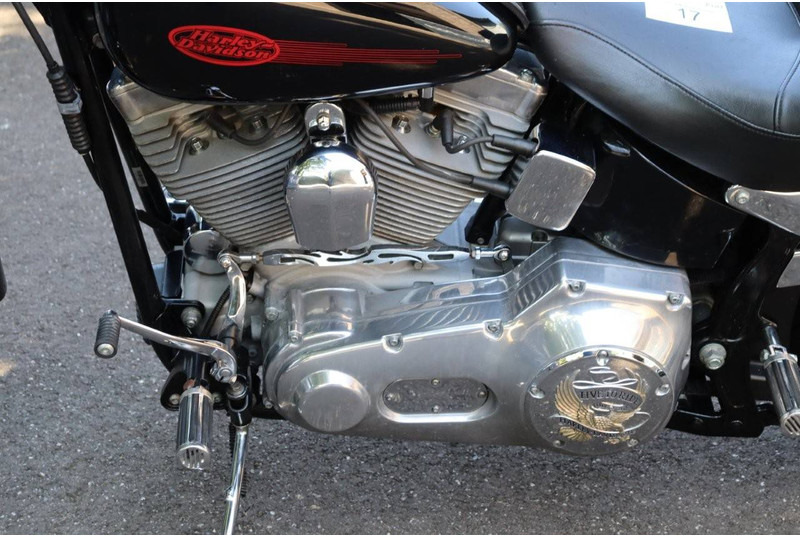 Motorcycle Harley-Davidson Softail Custom: picture 14
