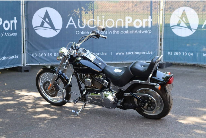 Harley-Davidson Softail Custom - Motorcycle: picture 3 Harley-Davidson Softail Custom - Motorcycle: picture 3
