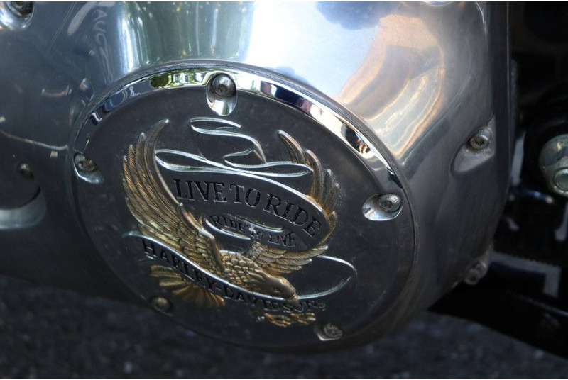 Motorcycle Harley-Davidson Softail Custom: picture 20