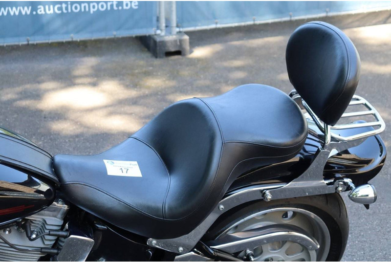 Motorcycle Harley-Davidson Softail Custom: picture 18
