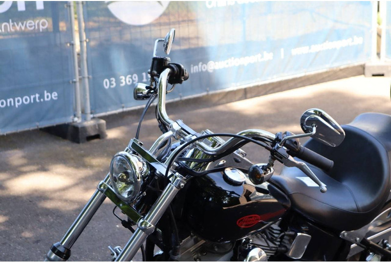 Motorcycle Harley-Davidson Softail Custom: picture 11
