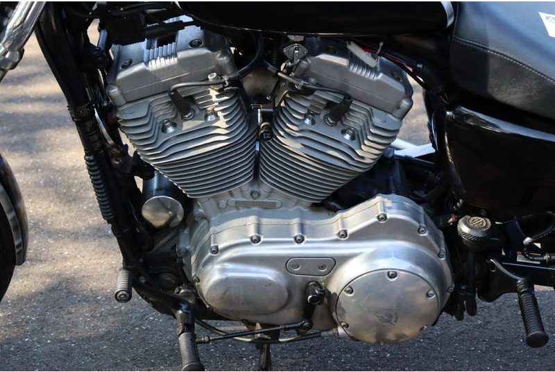 Motorcycle Harley-Davidson Sportster 883 Springer: picture 14 Motorcycle Harley-Davidson Sportster 883 Springer: picture 14