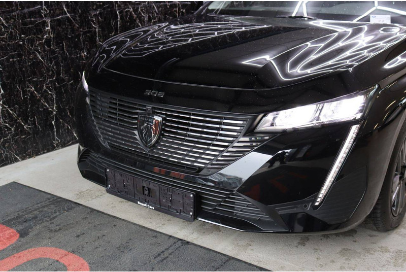 Car Peugeot 308 SW: picture 10