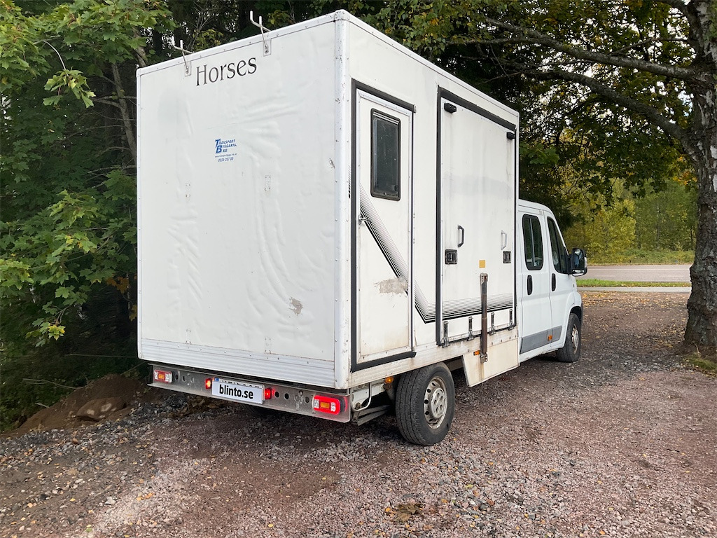 FIAT DUCATO - Commercial vehicle: picture 3 FIAT DUCATO - Commercial vehicle: picture 3