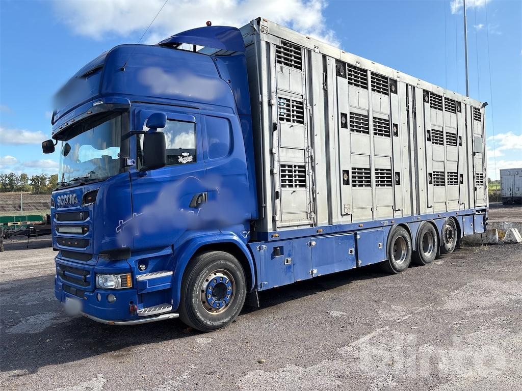 SCANIA R580 - Livestock truck: picture 1 SCANIA R580 - Livestock truck: picture 1