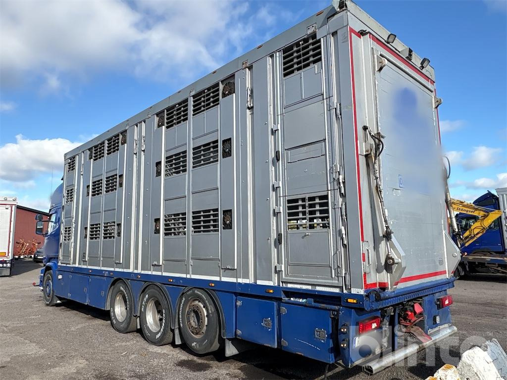 SCANIA R580 - Livestock truck: picture 3 SCANIA R580 - Livestock truck: picture 3